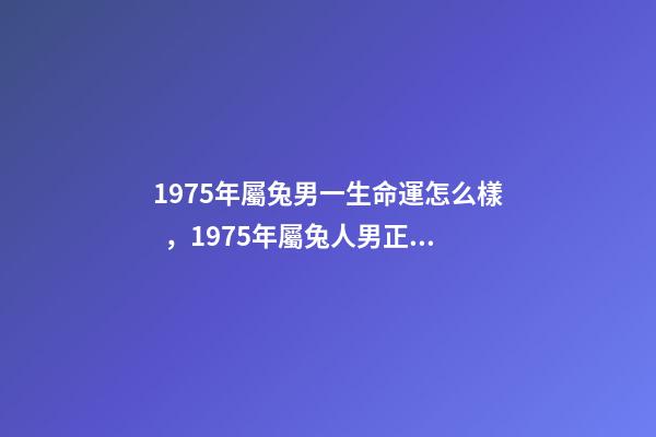 1975年屬兔男一生命運怎么樣，1975年屬兔人男正月初九生一生命運. 75年屬兔是什么命男，1975年屬兔人的命運